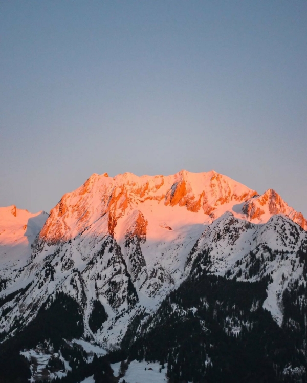 A Honeymoon Unlike Any Other