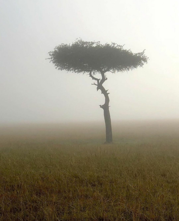 How to Cope With Anxiety