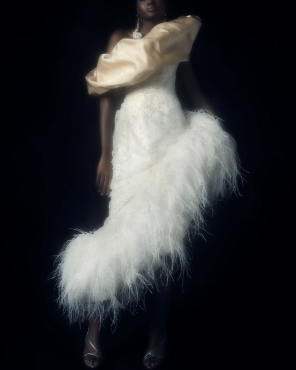 Top 6 Wedding Dress Styles | Different Style of Wedding Dresses | Chart of the All Types of Bridal Gown Silhouettes