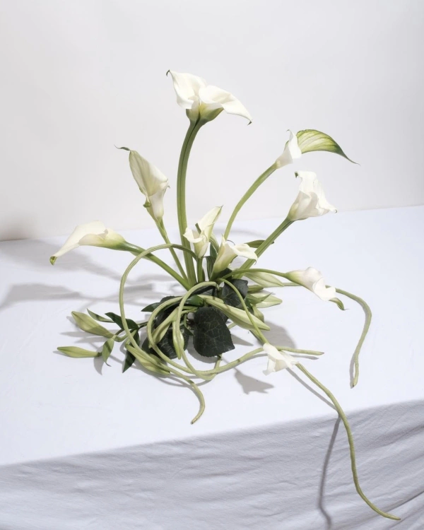 38 Calla Lily Arrangement Ideas — photo 2