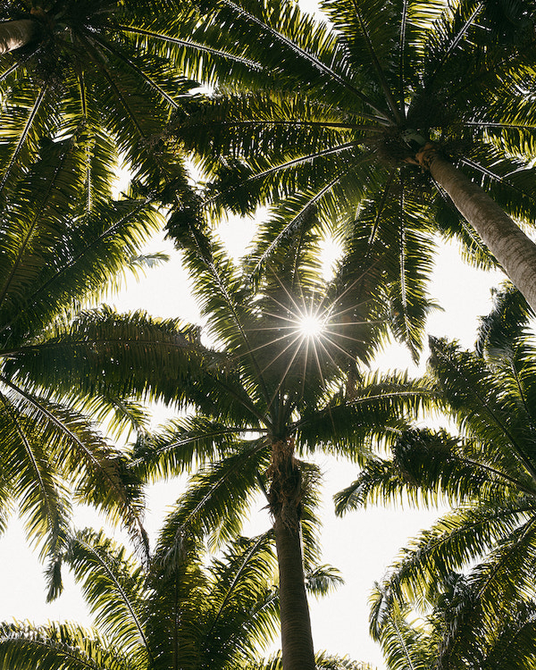 Beautiful Bridal Experience in Venezuela