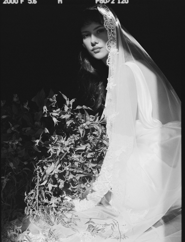 Elegance Meets Modern Edge