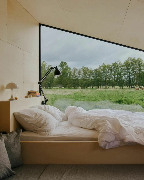 6 Apps to Help You Plan Your Perfect Honeymoon