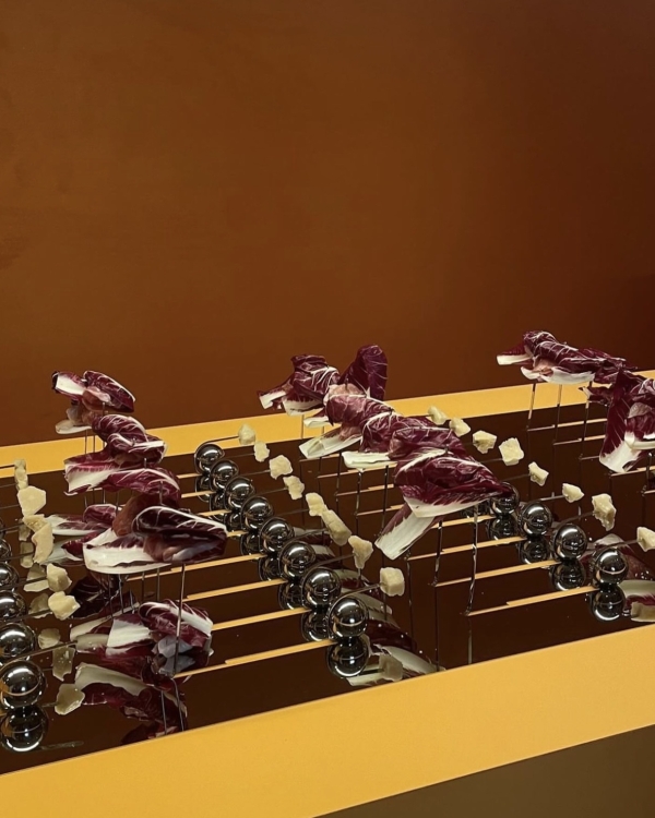 Inspiration for Grazing Tables | Food Styling and Event Planning Trend