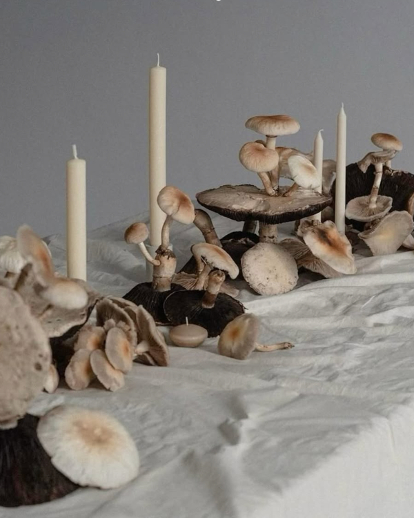 7 Key Ingredients for a Fashion-Forward Editorial Wedding Style