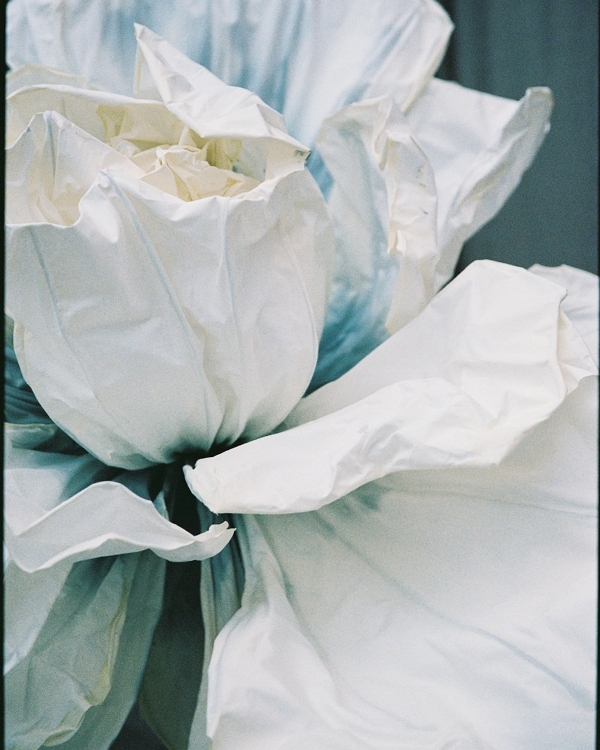 A High-End Wedding Amongst New Zealand's Cinematic Mountains