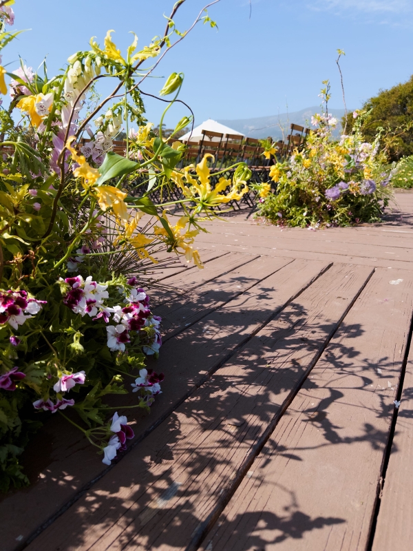 Content Creators Heart Crafted Social