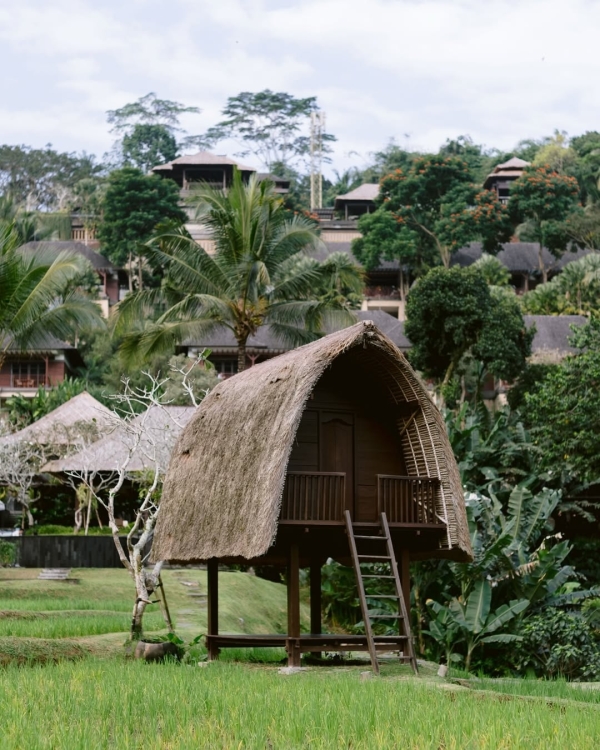 7 Luxe Bali Resorts for Your Dream Tropical Honeymoon