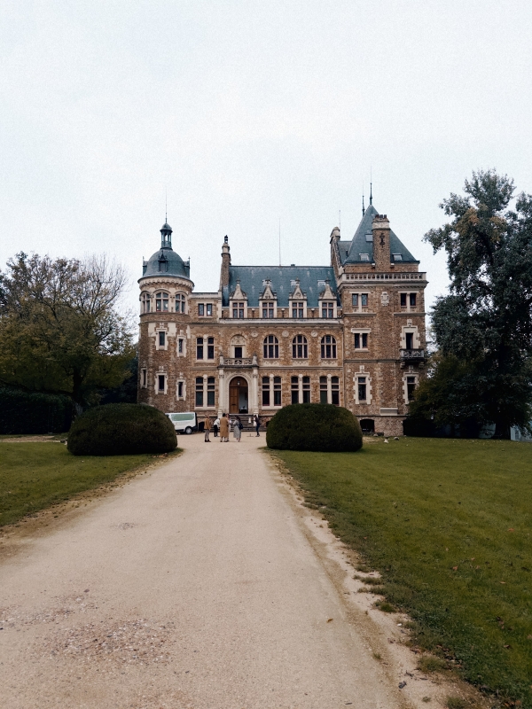 Content Creators Heart Crafted Social