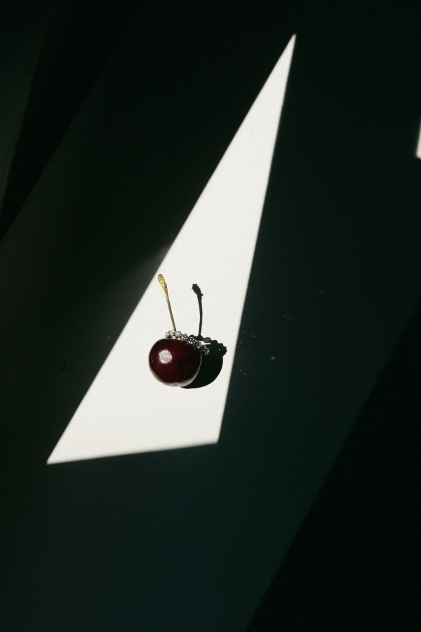 Photographers Joy Zamora