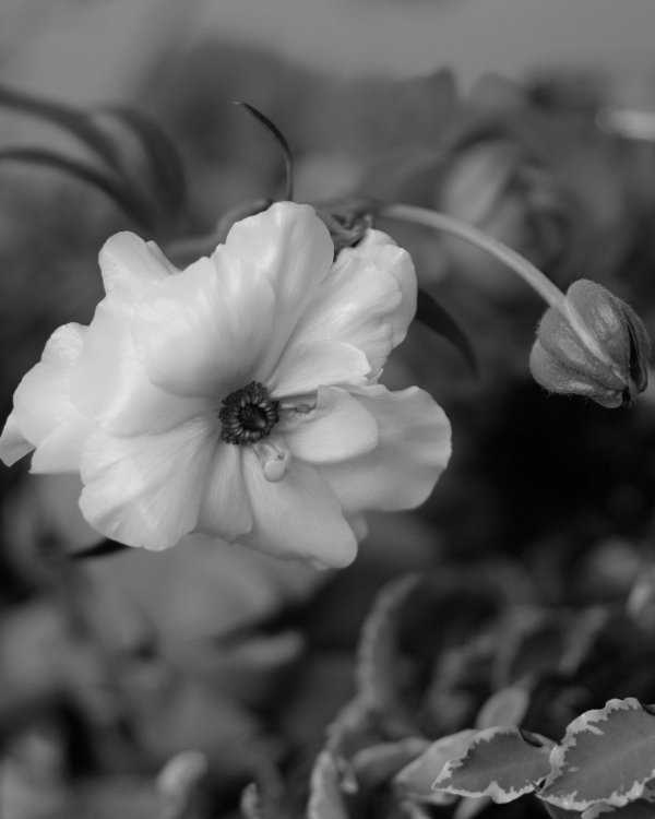 In Conversation: This Humid House