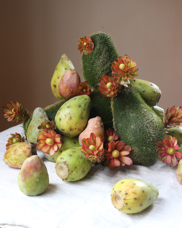 40 Creative Decor Ideas for a Tropical Wedding