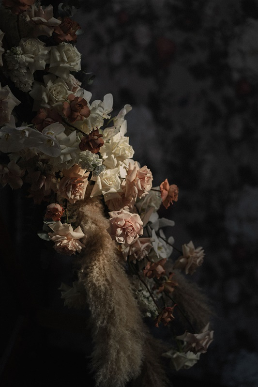 Photographers Salt media