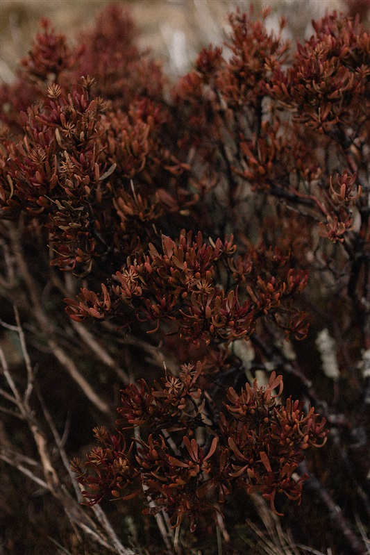 Photographers Salt media