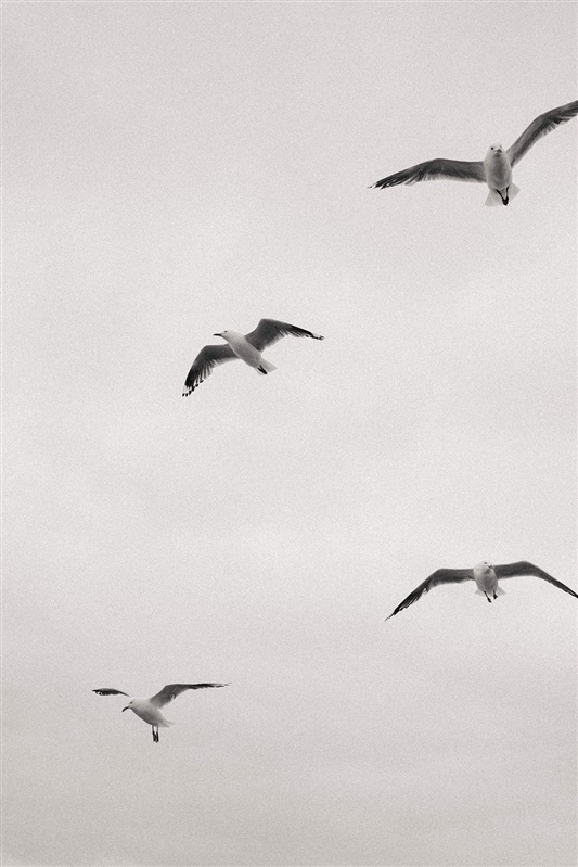 Photographers Salt media