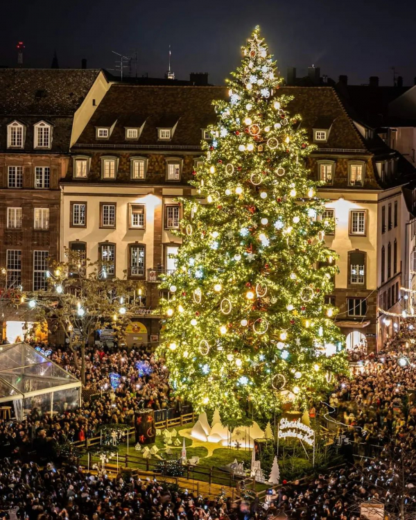 7 Best Christmas Markets in Europe 2023 | When Do Largest Christmas Markets Start | Top of the Trips