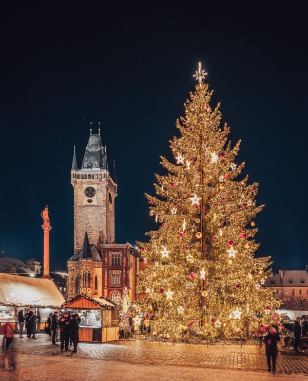 7 Best Christmas Markets in Europe 2023 | When Do Largest Christmas Markets Start | Top of the Trips