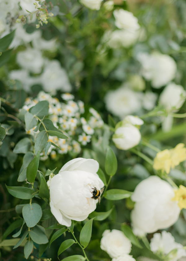 Florists Sophie's Flower Co