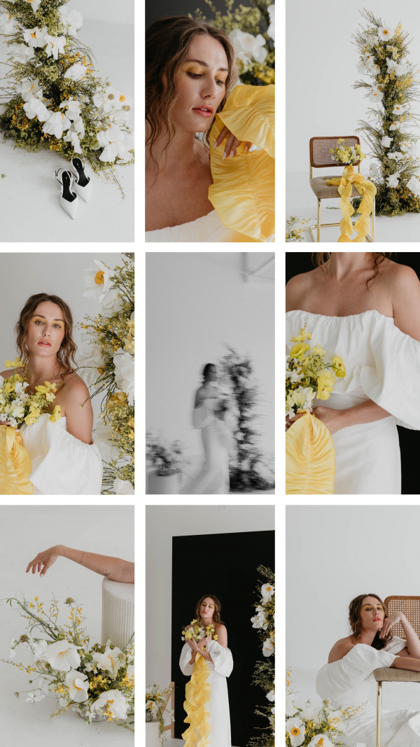 Photographers South of Indigo