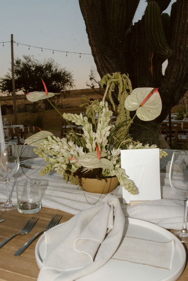 Stationery Papier June