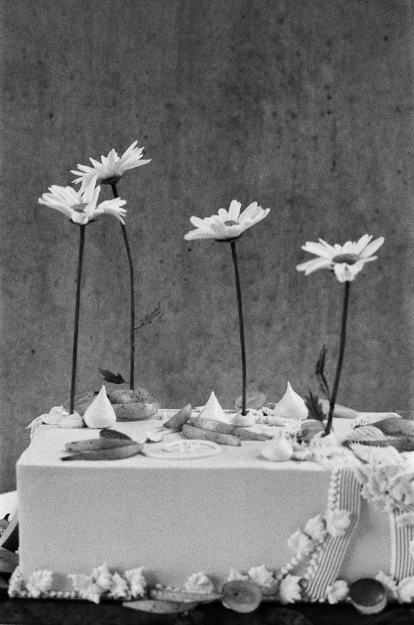 Cakes & Catering Clare Ellen Studio