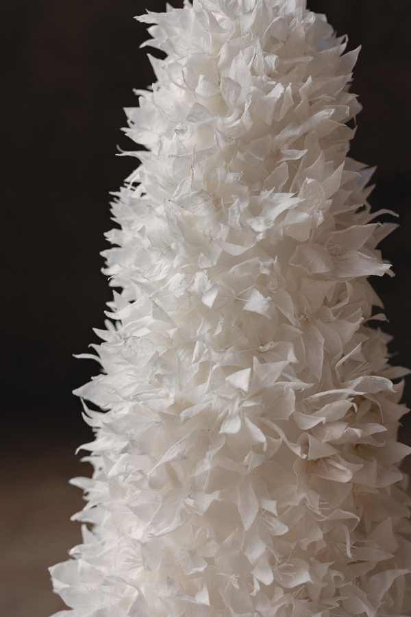 Cakes & Catering Clare Ellen Studio