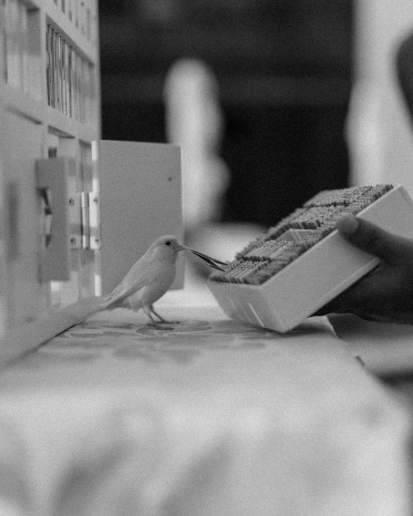 A Vibrant Mexican Wedding on the Baja Peninsula