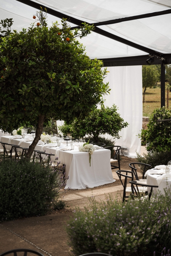 Florists Otro Cantar