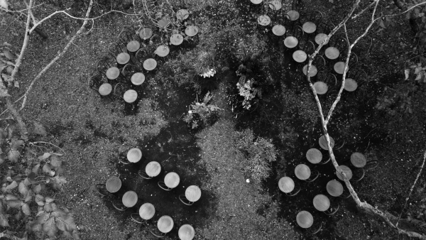 Planners Bow Creative