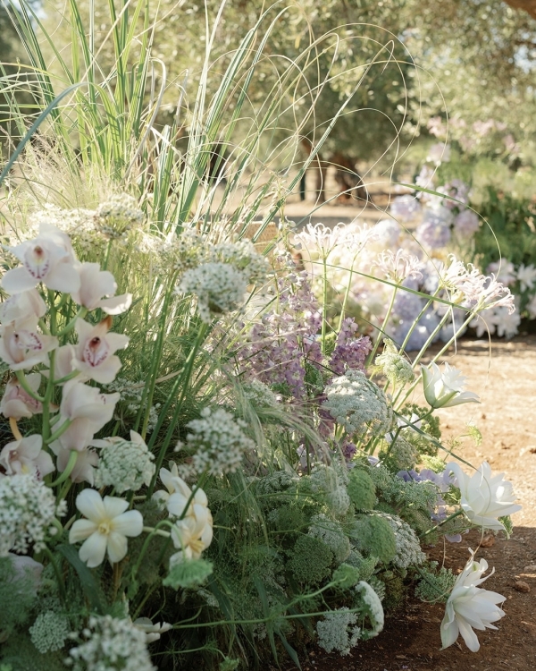 A Vivid Wedding Celebration in Puglia’s Idyllic Countryside