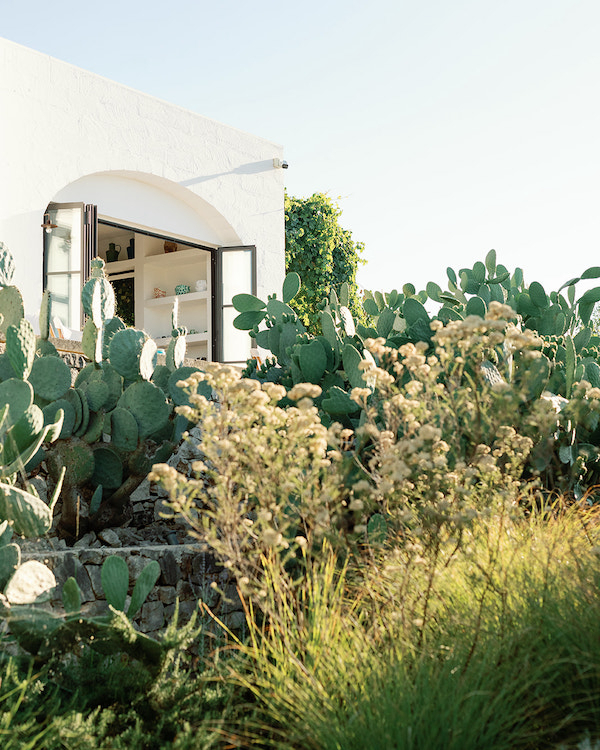 A Vivid Wedding Celebration in Puglia’s Idyllic Countryside