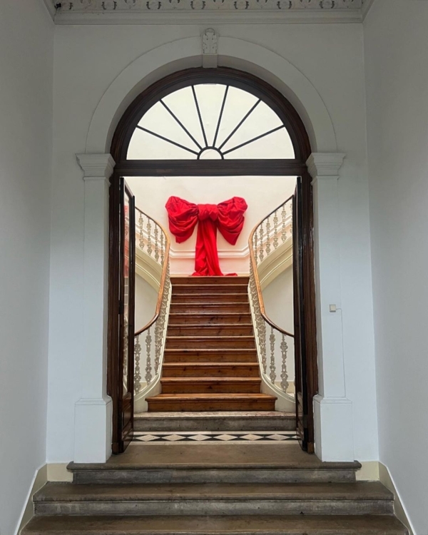 7 Must-Know Tips for a Memorable Holiday Proposal