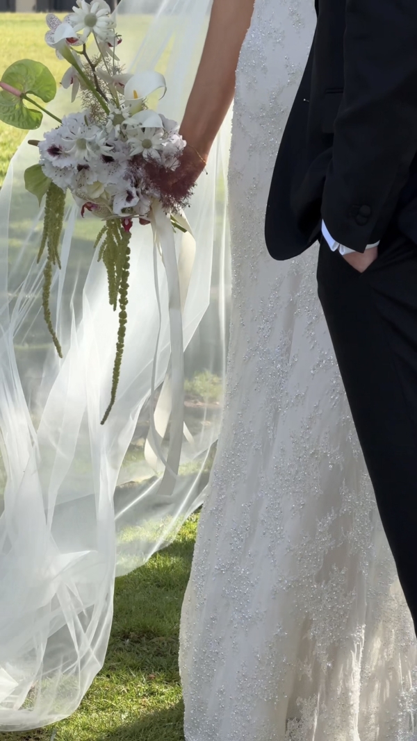 Content Creators Social Romances