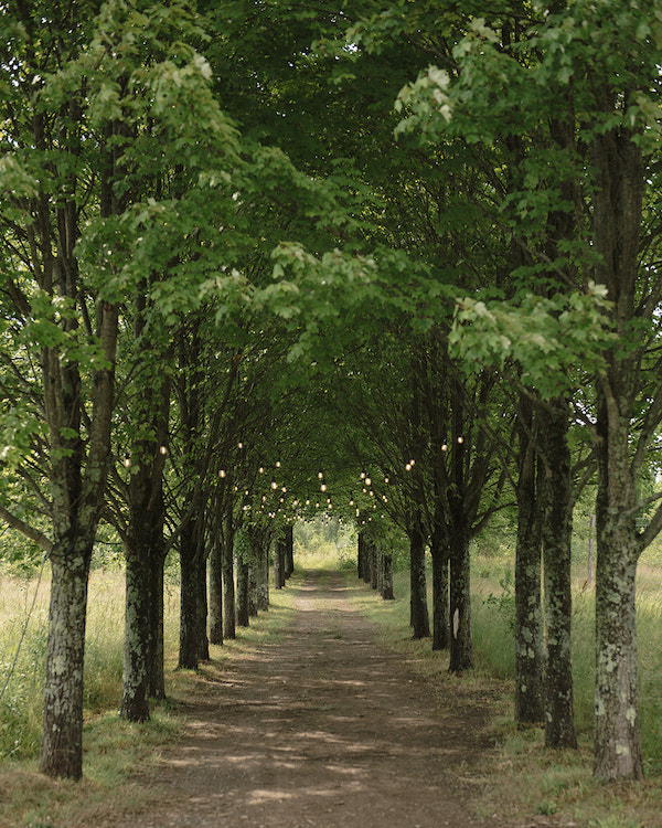 An Effortlessly Chic Multi-Day Wedding in the Heart of the New York Countryside