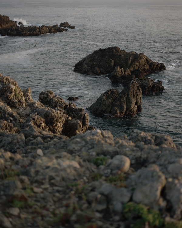 An Elegant Wildflower Wedding with Breathtaking Ocean Views