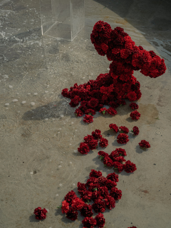 Florists Oh, Maria Flores