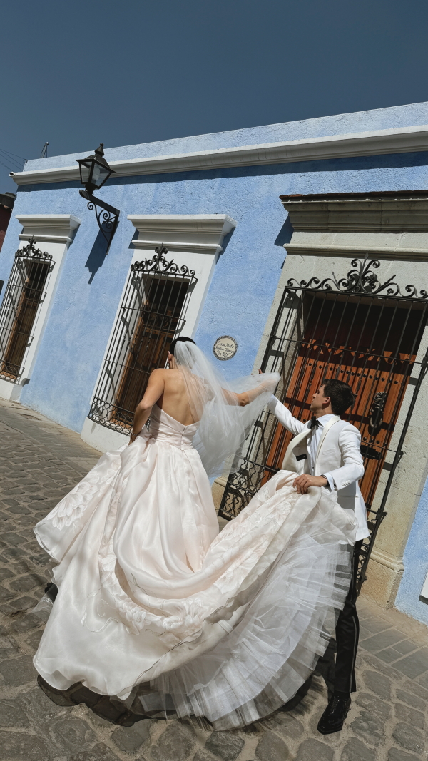 Content Creators DONATELLO