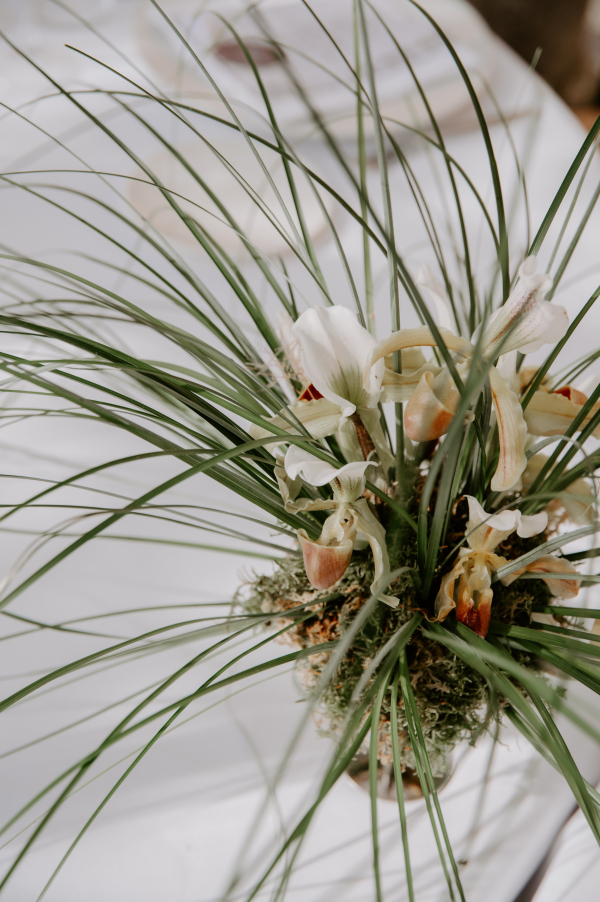 Stylists Marta Sandri Studio