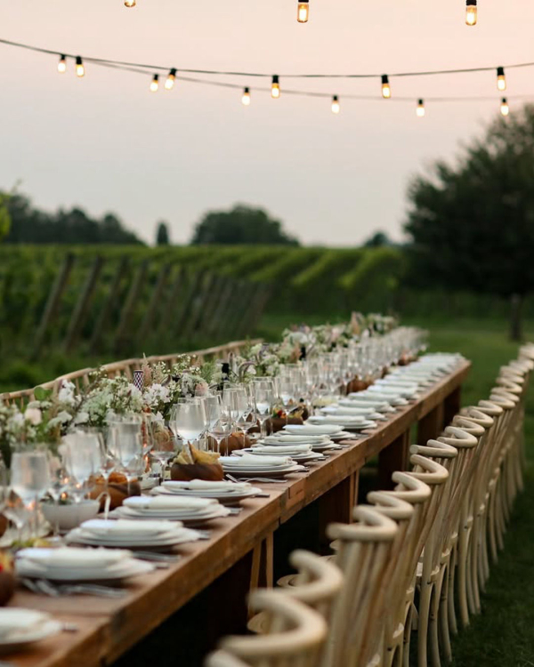 10 Best Vineyard Wedding Venues in the US