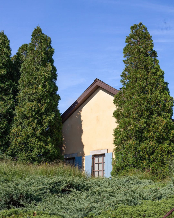 10 Best Vineyard Wedding Venues in the US