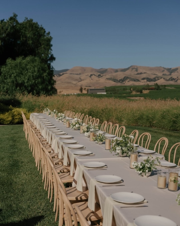10 Best Vineyard Wedding Venues in the US