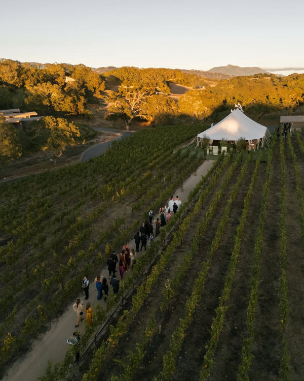 10 Best Vineyard Wedding Venues in the US