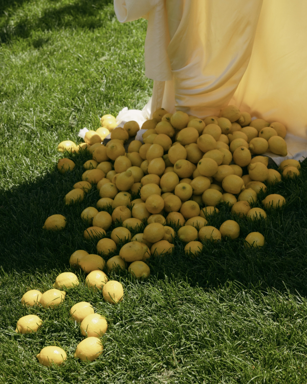 A Chic Buttercream Garden Wedding in Boulder, Colorado