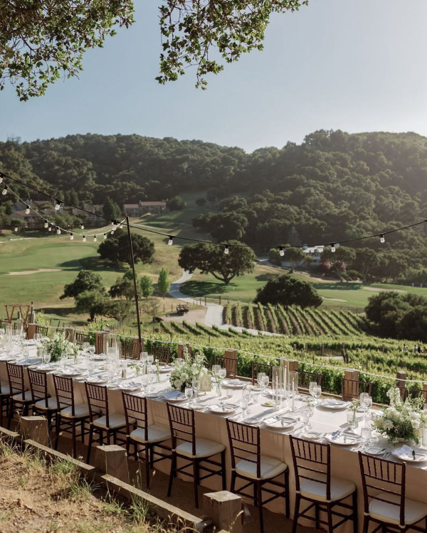 10 Best Vineyard Wedding Venues in the US
