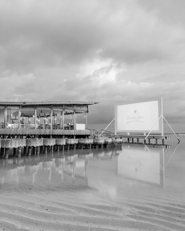 Things to do in Maldives on Honeymoon | What to do in Maldives Honeymoon | Couple Activities | Best Places to Visit