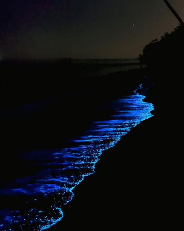 Things to do in Maldives on Honeymoon | What to do in Maldives Honeymoon | Couple Activities | Best Places to Visit