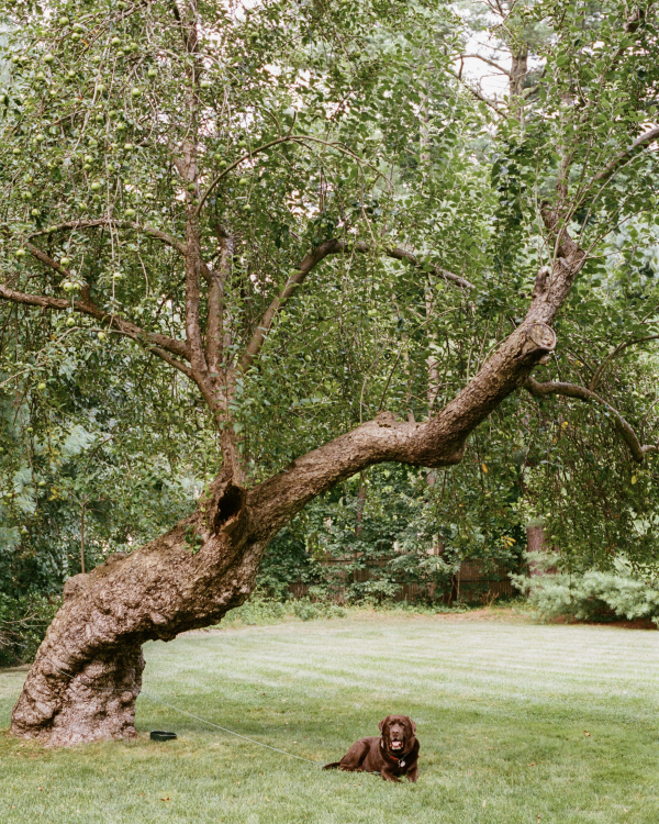 Real Wedding: Eliza & Jamie