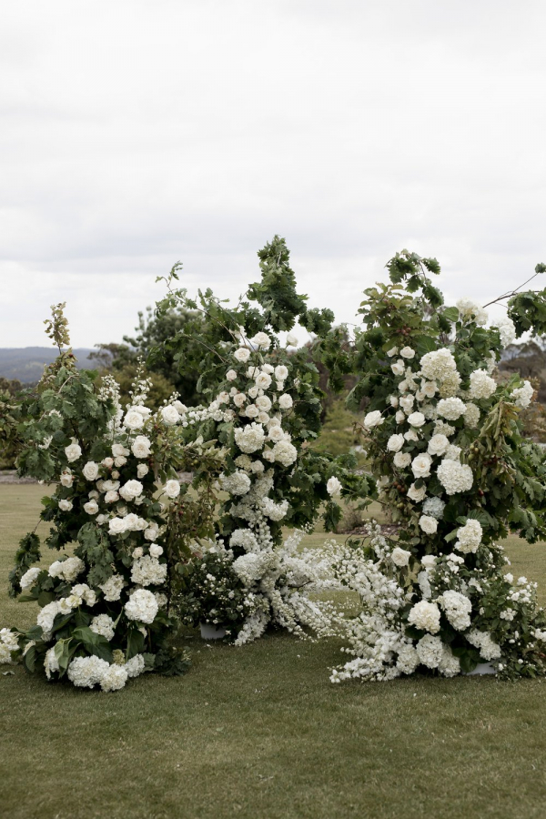 Florists The Petal Project