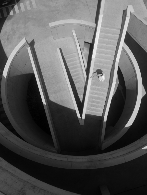 Concrete & Elegance: The Unexpected Pairing