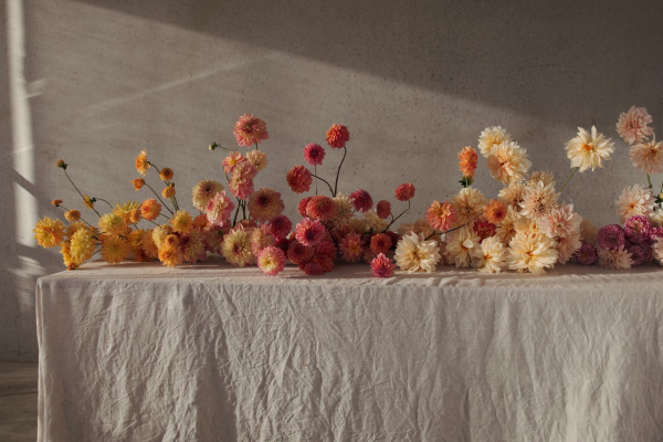 Florists Film and Foliage